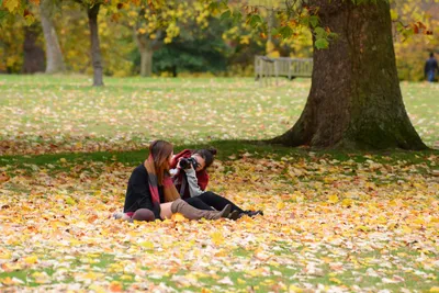 DSC_0594 (Large).JPG